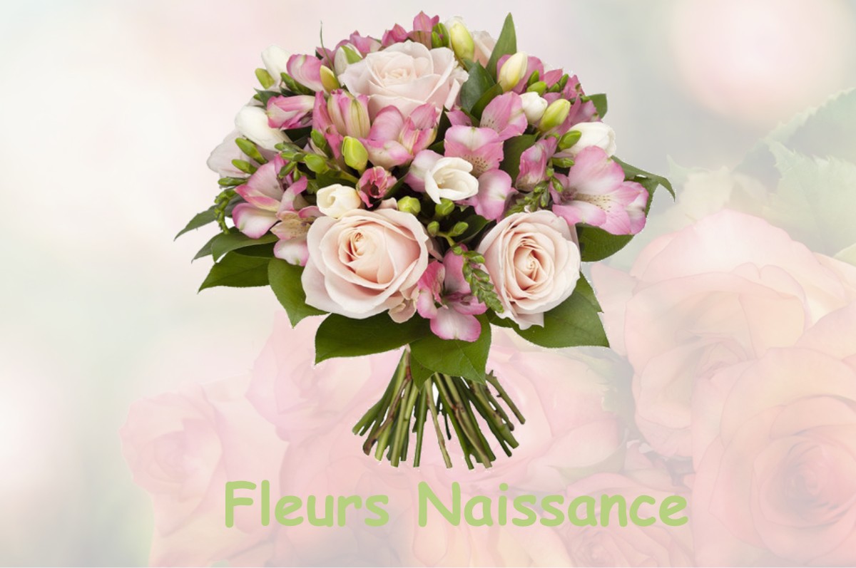 fleurs naissance TOUDON