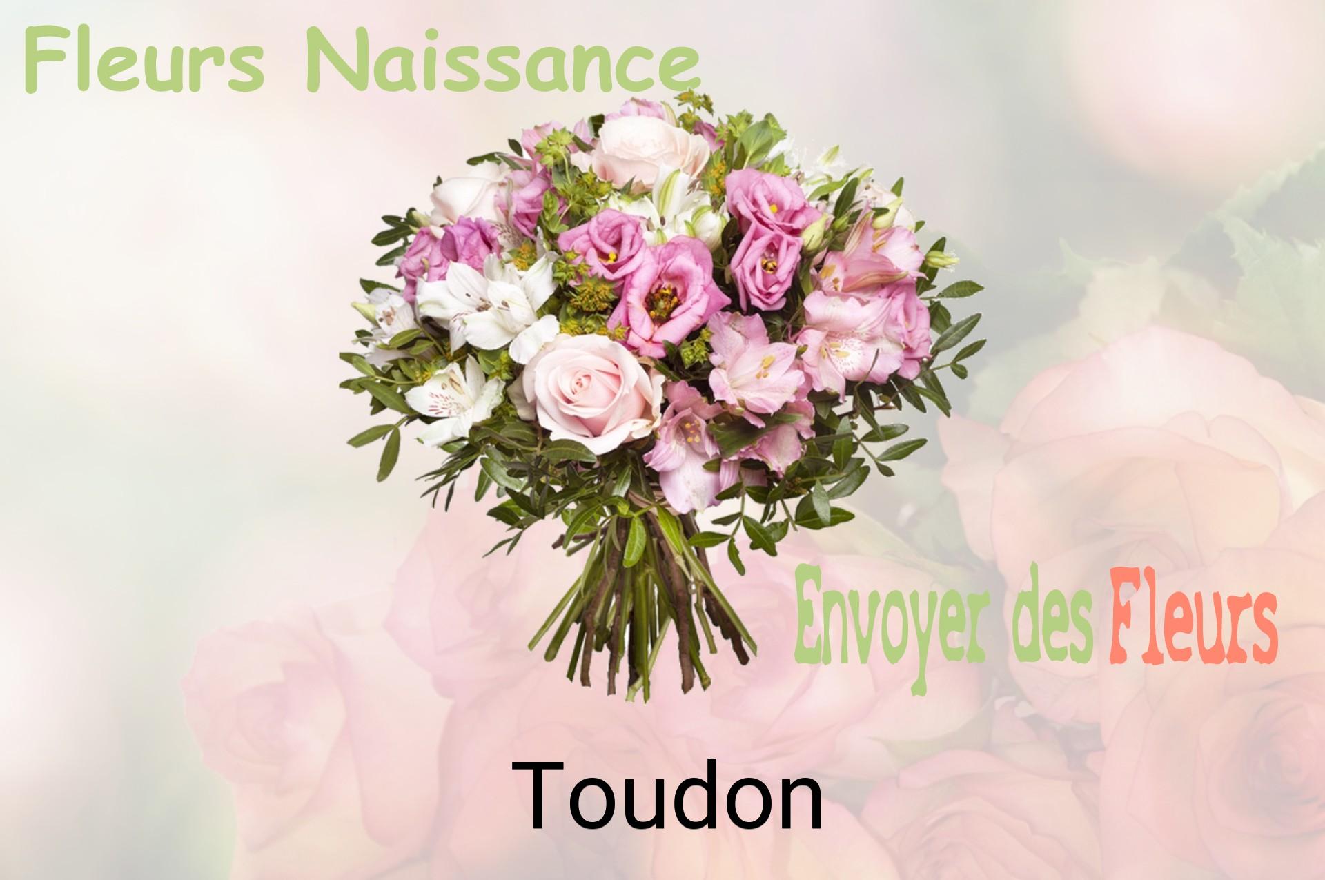 Bouquet de fleurs de naissance livré à Toudon