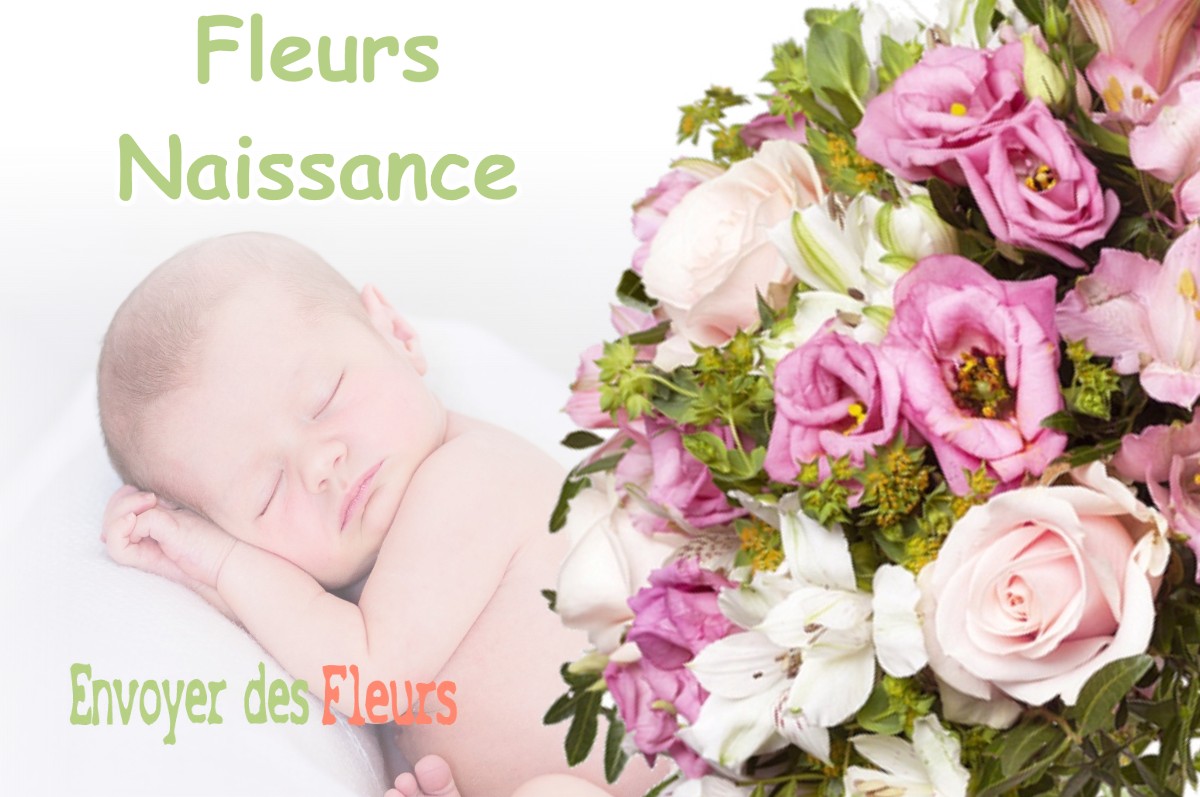 lIVRAISON FLEURS NAISSANCE à TOUDON