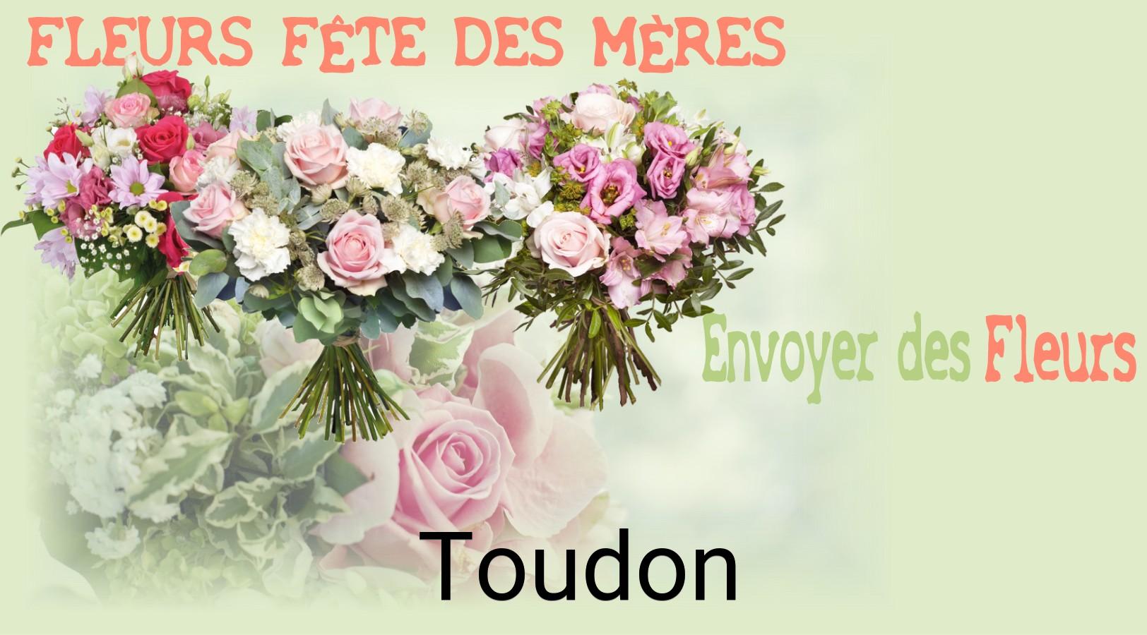 Bouquet de Fête des Mères livré à Toudon